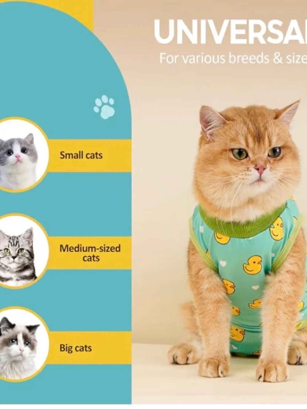 Cat Recovery Suit